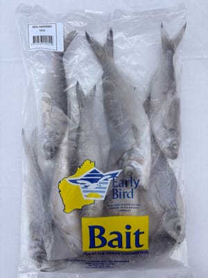 Herring frozen bait — Earlybird Bait Western Australia
