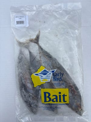 Bonito frozen bait — Earlybird Bait Western Australia